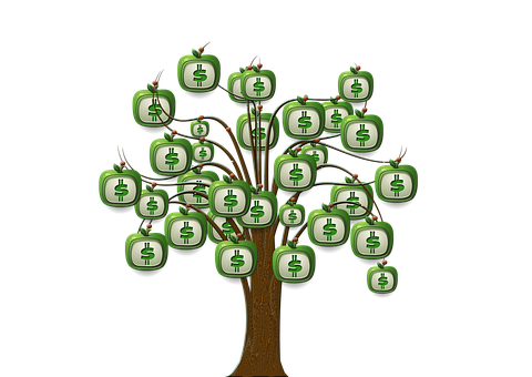 Money Tree