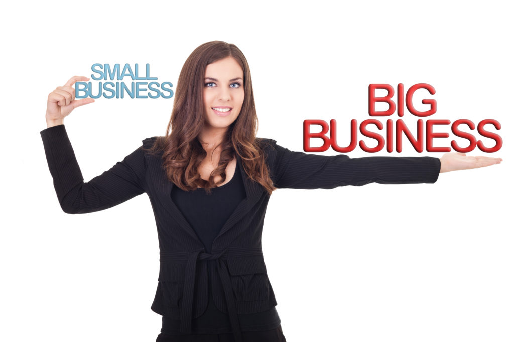 Small Business Big Business